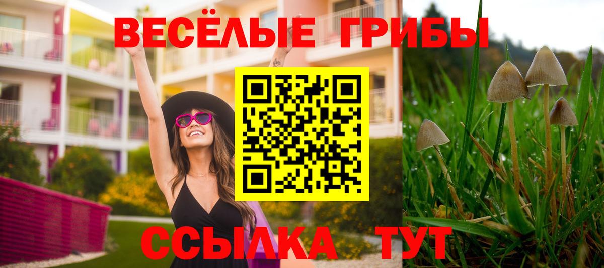 Псилоцибиновые грибы MAGIC MUSHROOMS Кузнецк