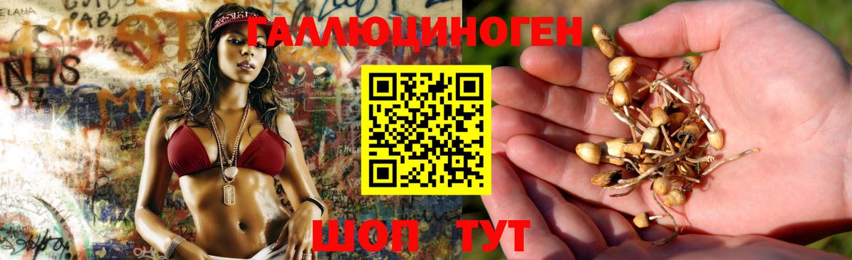 Галлюциногенные грибы Magic Shrooms  Вход с VPN  Кузнецк 